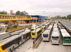 prefeito