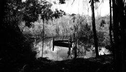 belo-monte-riri-beja-2-1