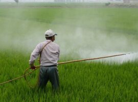 agrotoxico