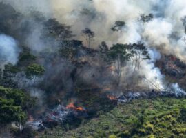 Queimadas na Amazônia