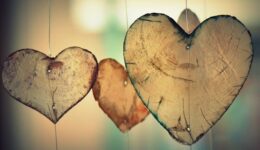 heart-700141_640