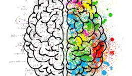 brain-2062057_1920