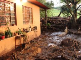 Região de Brumadinho após o rompimento da barragem da Vale (Foto: Camila Nóbrega)