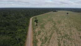 Rodovia BR 163 entre a Floresta Nacional do Tapajós e campos de soja no Pará