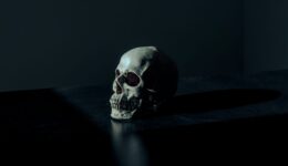 mathew-macquarrie-u6OnpbMuZAs-unsplash