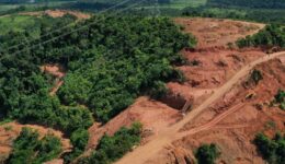 Operação Verde Brasil realizada por militared (Warley de Andrade/TV Brasil)