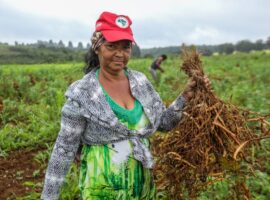 A saída justa da crise é verde, nos alimenta e gera futuro com reparação histórica