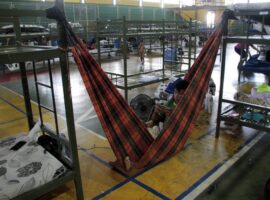 Plataformas digitais se popularizam entre indígenas