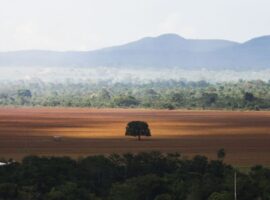 a biodiversidade