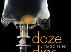 capa-dozedias-131122