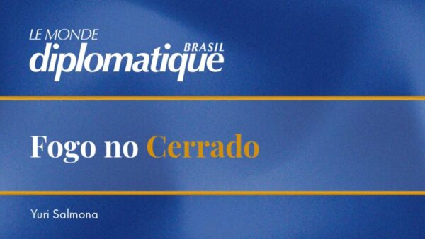 Fogo no Cerrado