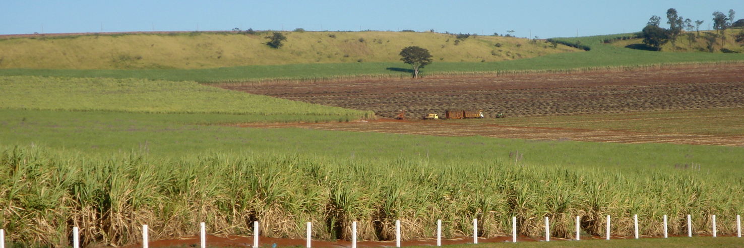Um grande pedaço de terra