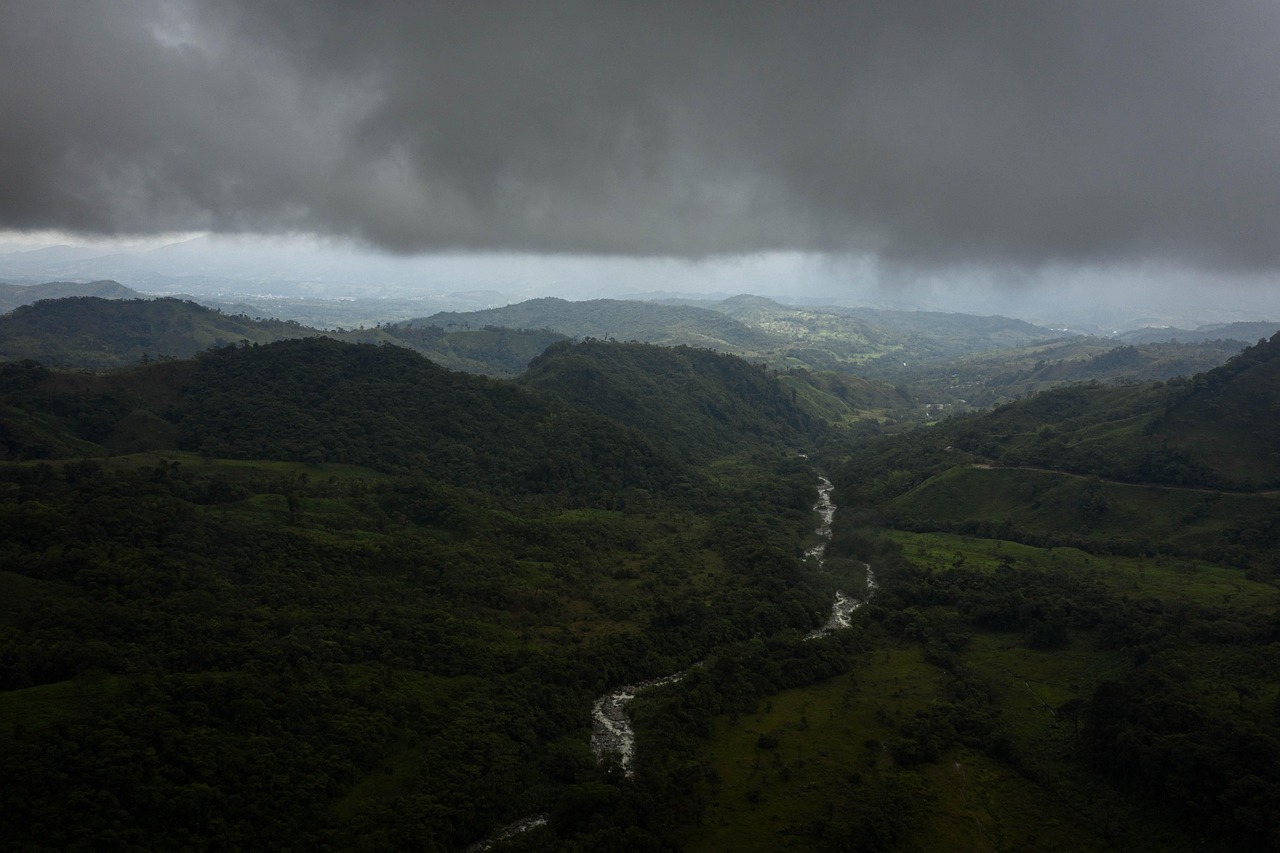 Foto aérea da Amazônia vista de cima: a parte inferior está coberta de árvores, cortadas por um rio