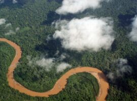 amazonia