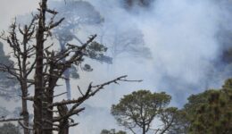 fire-4951712_1280