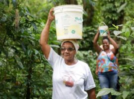 quilombo-rio-dos-macacos. foto agencia brasil