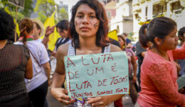 texto pardos