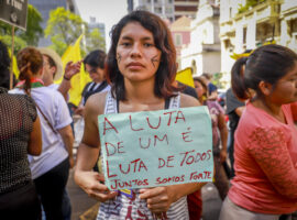 texto pardos