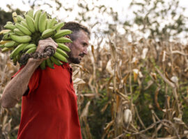 Mauriti (CE), 26/05/2025 - O pequeno agricultor da comunidade Canabravinha, Albino Viana, diz que sofre com a escassez de água e espera poder irrigar sua produção com as águas da transposição do rio São Francisco. Foto: Marcelo Camargo/Agência Bra
