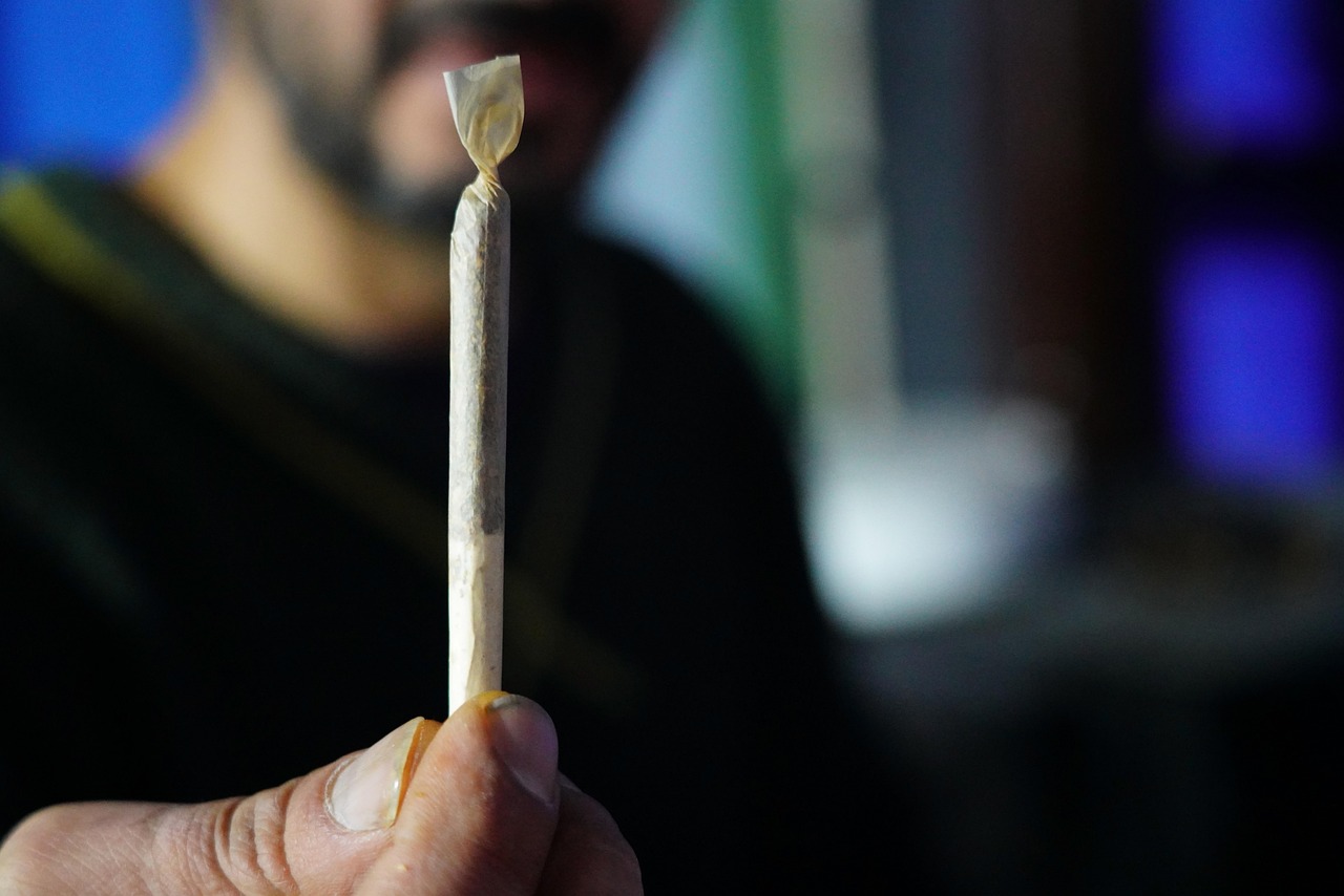 A cannabis pode ser fumada e digerida. A imagem apresenta a sua versão tragável.