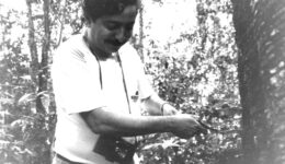 chico mendes