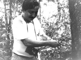chico mendes