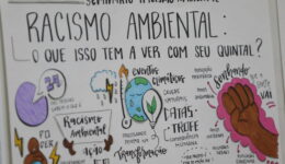Seminário debate Racismo Ambiental