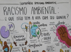 Seminário debate Racismo Ambiental