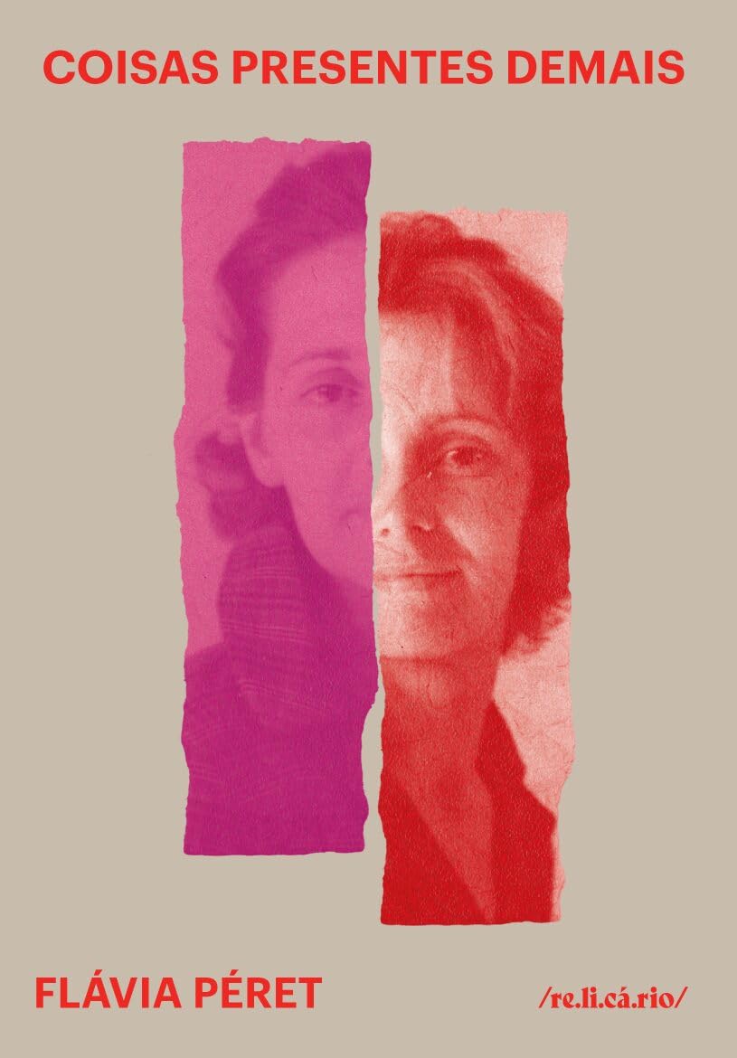 Capa do livro "Coisas presentes demais". Existe uma imagem fragmentada do perfil de uma mulher sorrindo.