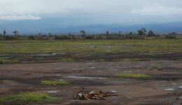 climate-crisis-4607102_1280