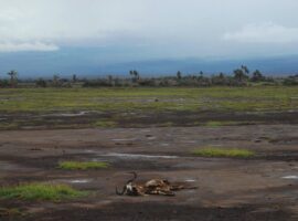 climate-crisis-4607102_1280