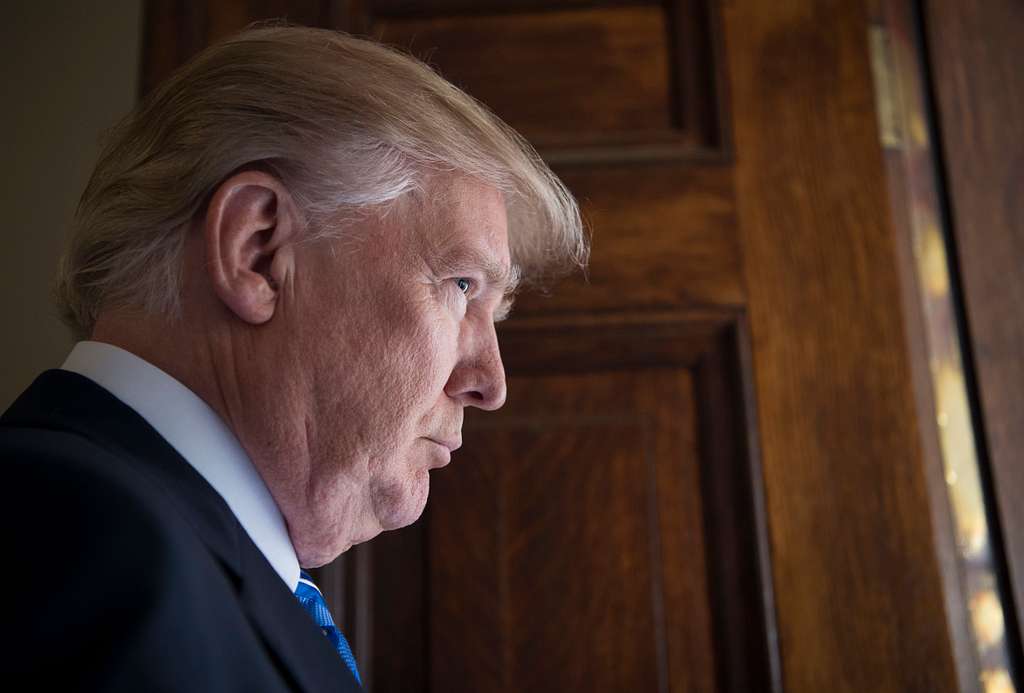 A nova cruzada contra a sociedade civil. A foto mostra Donald Trump de lado olhando por uma janela.