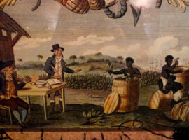 Tobacco Plantation