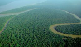 Aerial_view_of_the_Amazon_Rainforest