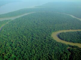 Aerial_view_of_the_Amazon_Rainforest