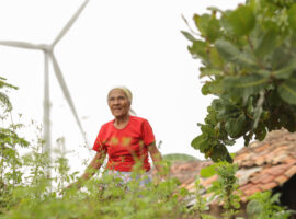 Conflitos Terra -Eólicas - Comunidade Rural Sobradinho, em Caetés (PE) - Foto_ Felipe Correia