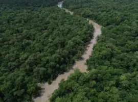 dji_0104
