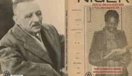 revista niger