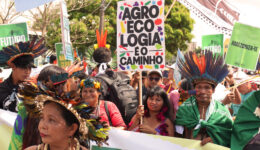 Manifestação Mirna Wabi-Sabi – AgroEco