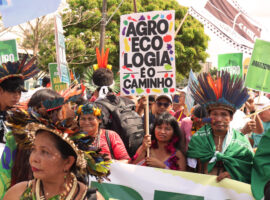 Manifestação Mirna Wabi-Sabi – AgroEco
