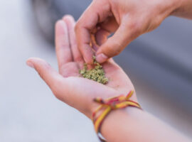 Young doing a marijuana joint. Close up smoke cannabis as a concept of alternative medicine and legalization