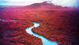 richard mosse