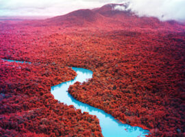 richard mosse