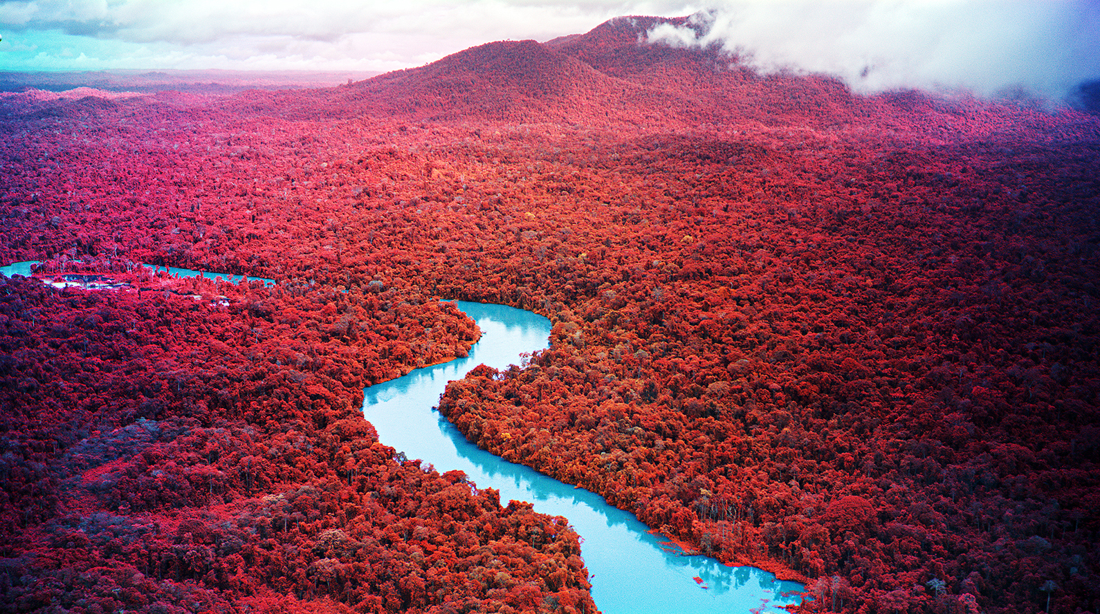 “Broken Spectre” de Richard Mosse ou a impotência perante a ganância global.