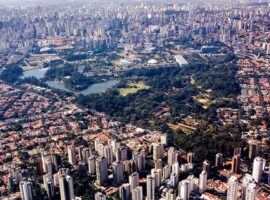 Vista aérea do Parque do Ibirapuera em São Paulo, em um domingo de Sol