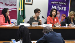 Procuradoria Especial da Mulher