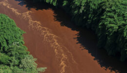 brumadinho