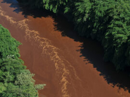 brumadinho