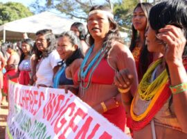 mulheres indigenas