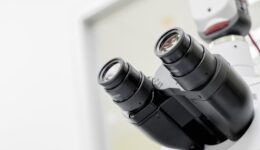 vector8diy-scope-4256715